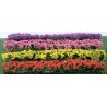 Flower Hedges 12.7 x 1 x 1.6cm