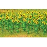 HO Sunflowers 1 2.5cm Tall 16 - 373-95523