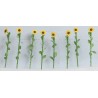 O Sunflowers 2 5cm Tall 16 - 373-95524