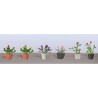 HO Assorted Potted flower plants - 373-95565