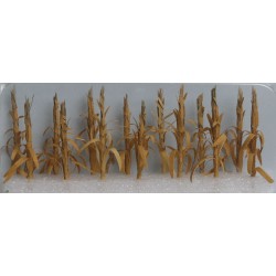 HO Dried Corn Stalks  30 - 373-95588
