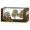 160-32008 Elm Trees - SceneScapesTM