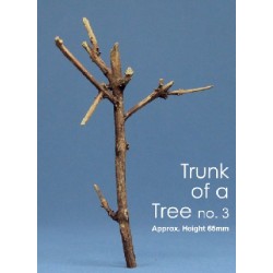 JWM-2005 Trunk of a Tree no 3 ca. 65mm