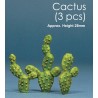 JWM-2008 Cactus 3