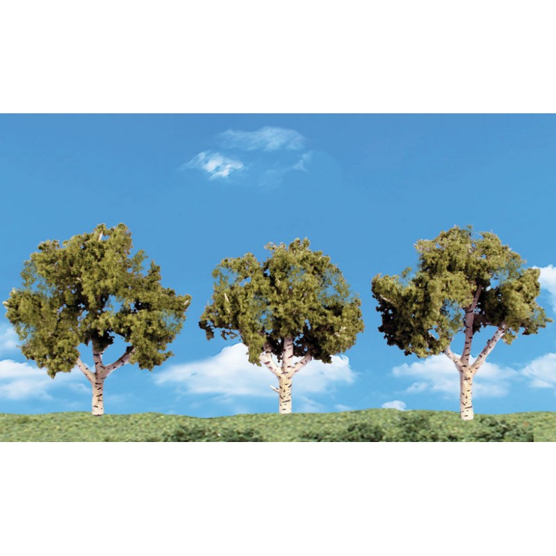 Large Deciduous Trees_27651
