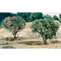 Früchte - Äpfel und Orangen