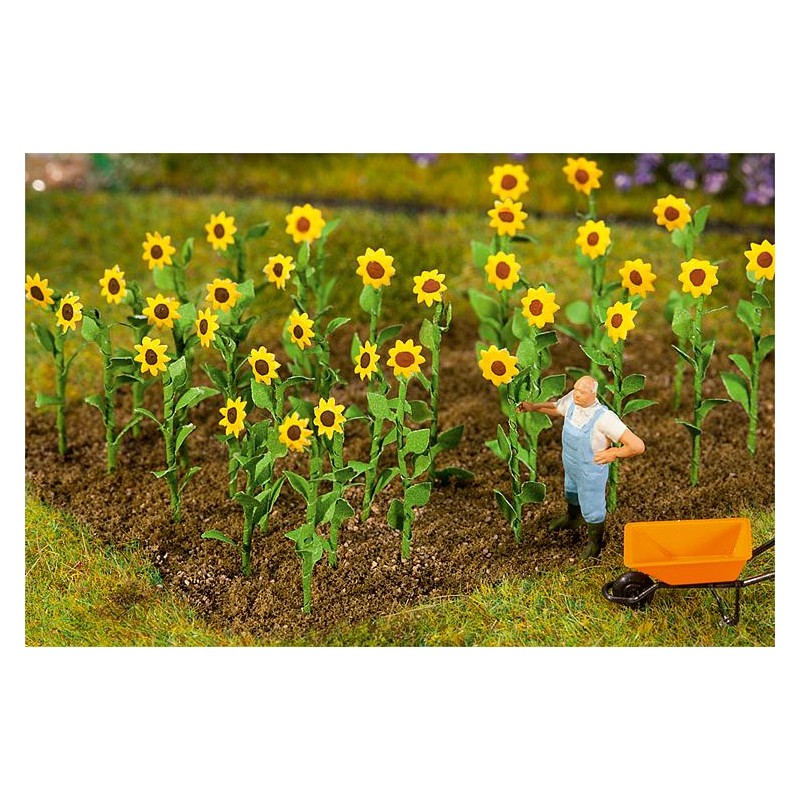 Fal-181256 HO 16 Sonnenblumen