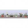 HO Assorted potted flower plants