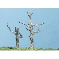 Tote Bäume (5)_3717