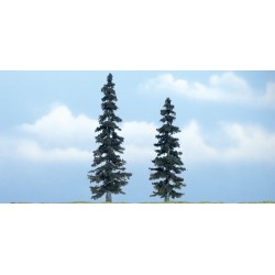 Spruce 127cm 102cm