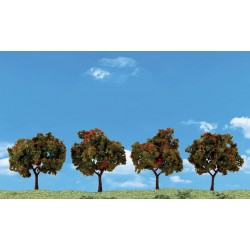 Apple Trees  5.8 cm - 7.63cm