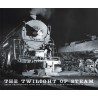 503-213758 Twilight of Steam
