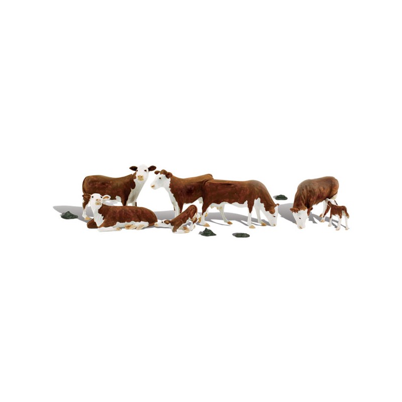 HO Hereford Kühe - Hereford Cows
