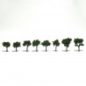 Bäume 19 - 32 cm mittelgrün