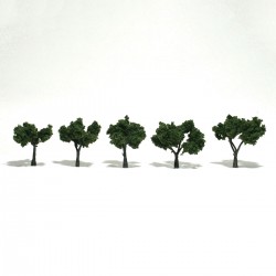 Bäume 32 - 51 cm mittelgrün