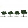 Bäume 51 - 76 cm mittelgrün