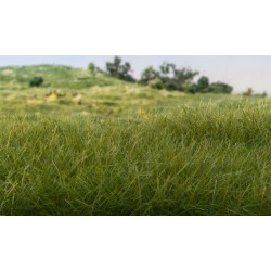 Static Grass - 2mm - dunkelgrün - 70g