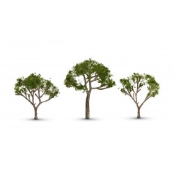 Gum Trees 6.4 - 8.9cm Tall pkg3