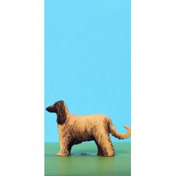 2301-G1 Afghan Hund