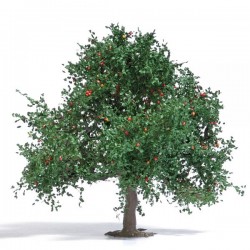 Apfelbaum 75 cm Sommer