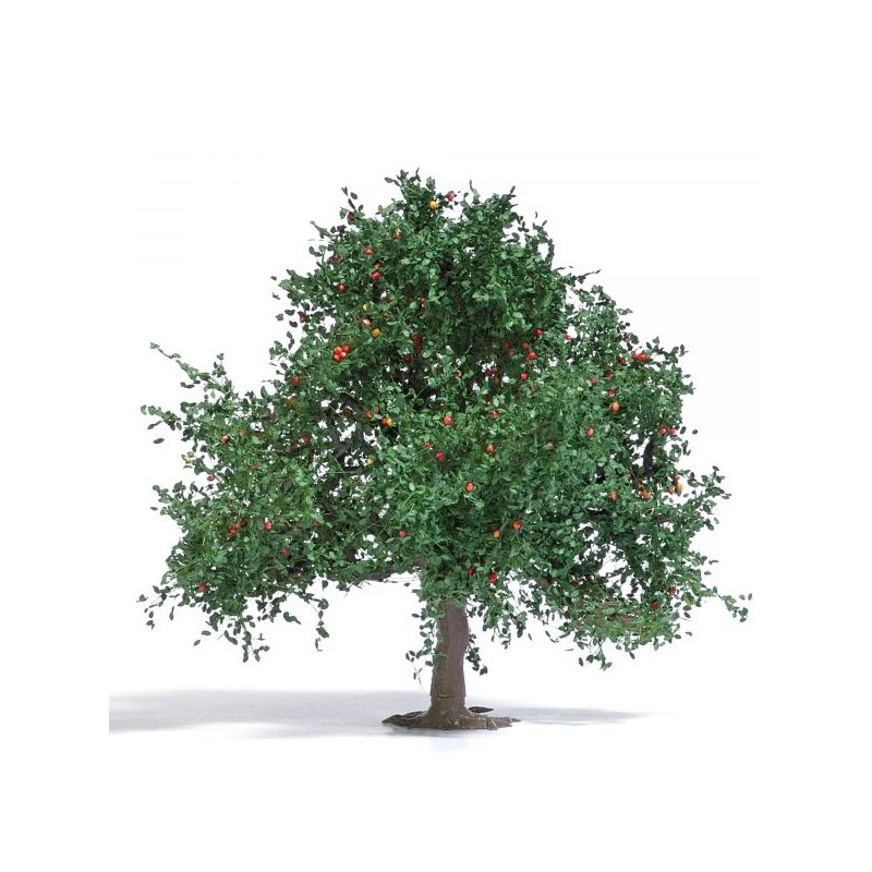 Apfelbaum 75 cm Sommer