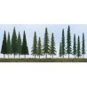 Evergreen Tree Bulk Pack 45 Stk 6.4 - 15.2cm