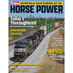 Trains Special Norfolk Southern at 40 Horse Power_75098