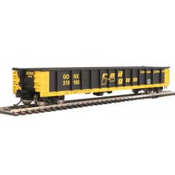 HO 53' Railgon Gondola Railgon # 310160_77892