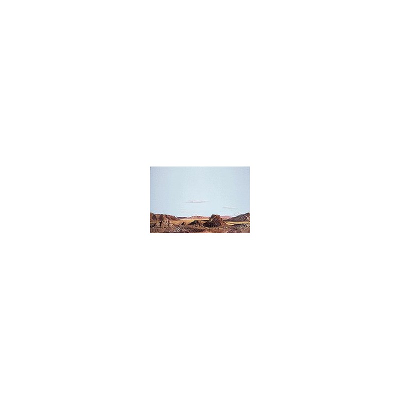 949-705 Background Dry Wash Desert_9122