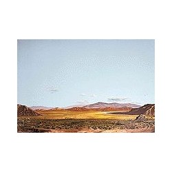 949-706 Background Saguaro Desert_9123