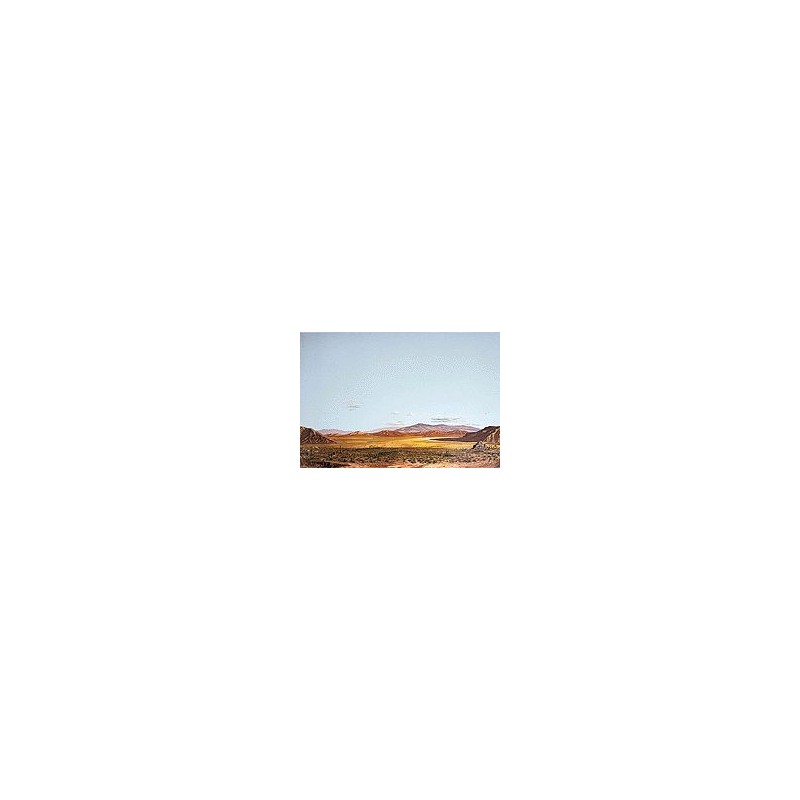 949-706 Background Saguaro Desert