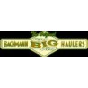 Bachmann Big Haulers